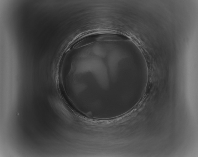 X0000100920002200806241354