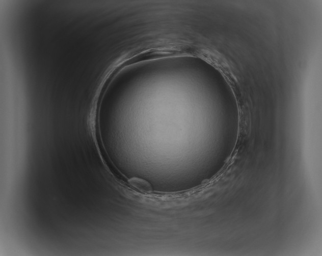 X0000100920003200806241354