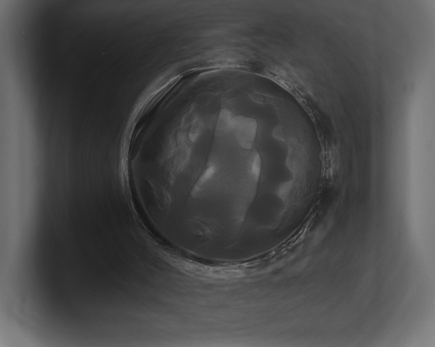 X0000100920004200806241354