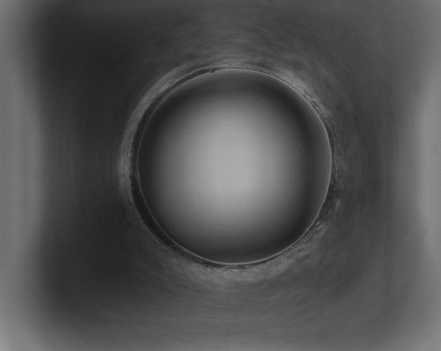 X0000100920007200806241354