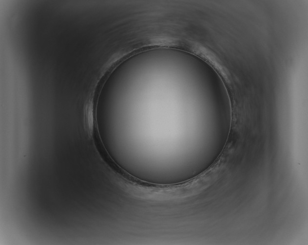 X0000100920011200806241354