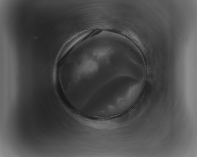 X0000100920012200806241354