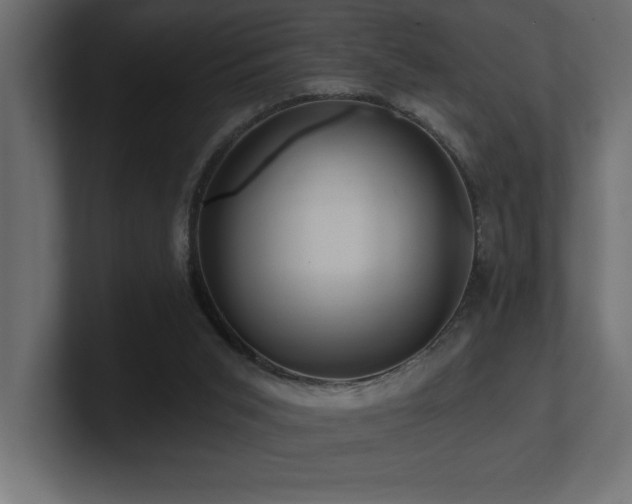 X0000100920015200806241353