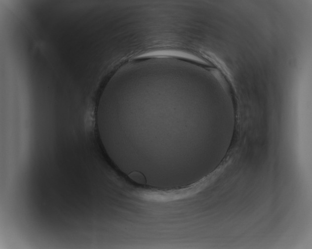 X0000100920017200806241353