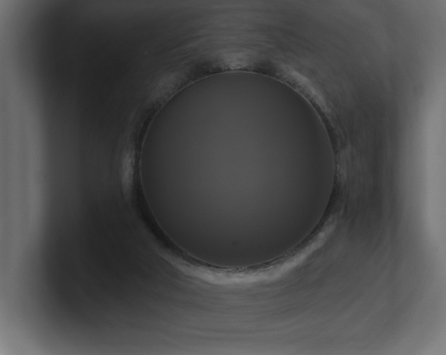 X0000100920018200806241353