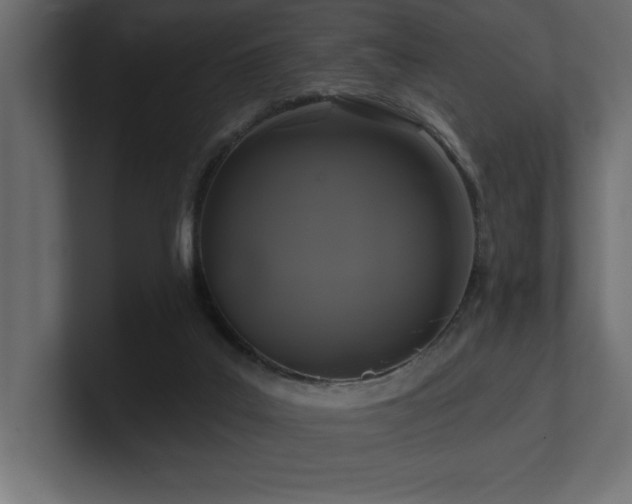 X0000100920019200806241353