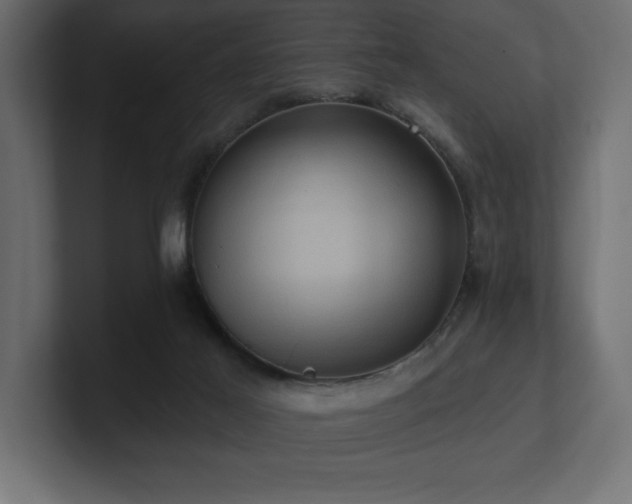 X0000100920021200806241353