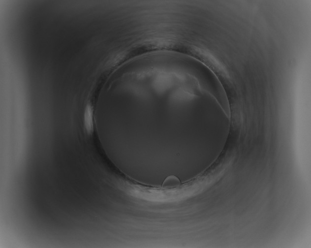 X0000100920022200806241353