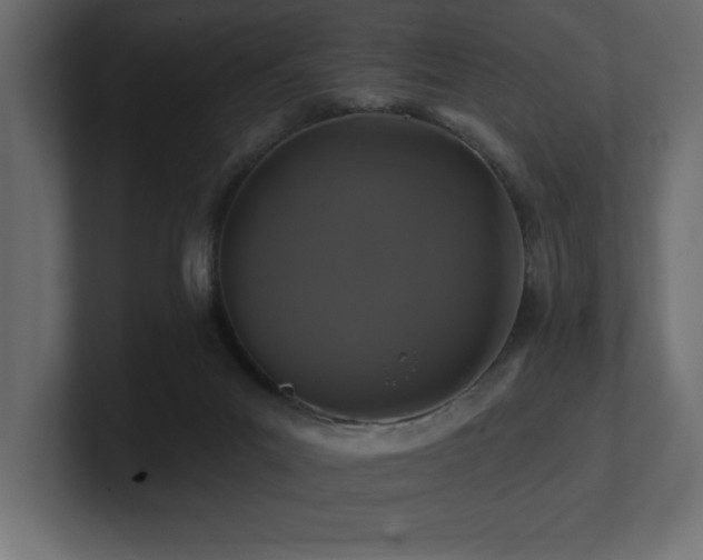 X0000100920023200806241353