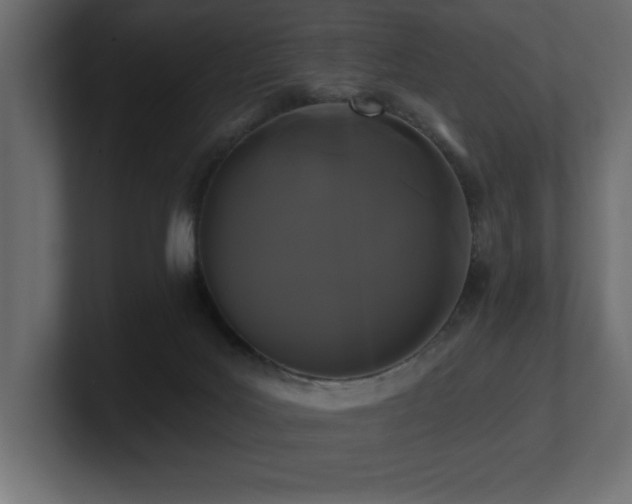 X0000100920027200806241353