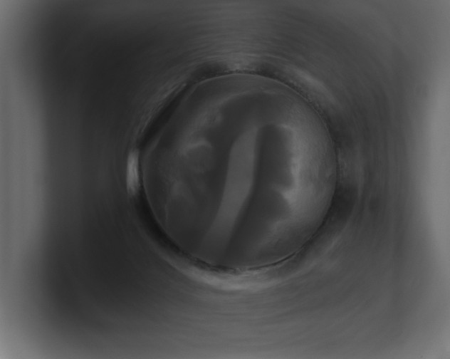 X0000100920028200806241353