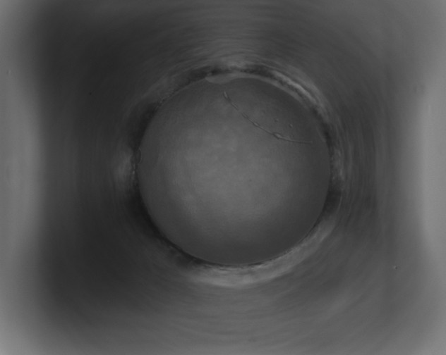 X0000100920029200806241353