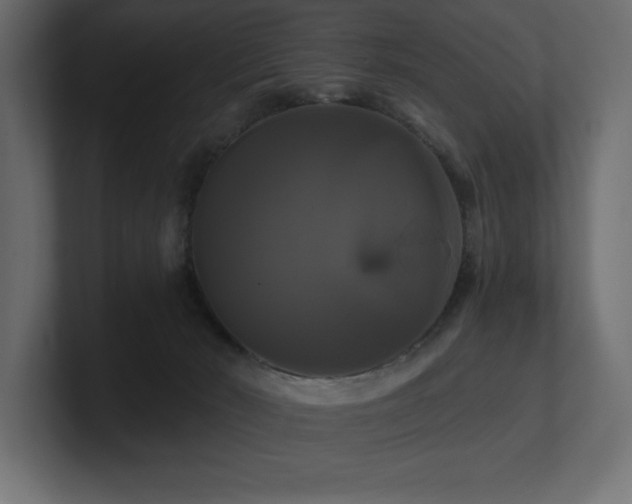 X0000100920030200806241353