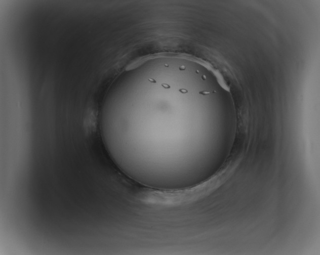 X0000100920033200806241353