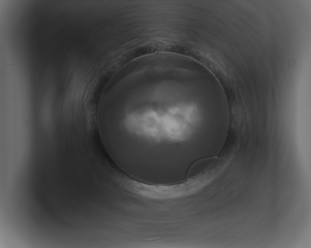 X0000100920034200806241353