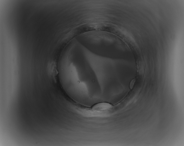 X0000100920036200806241353