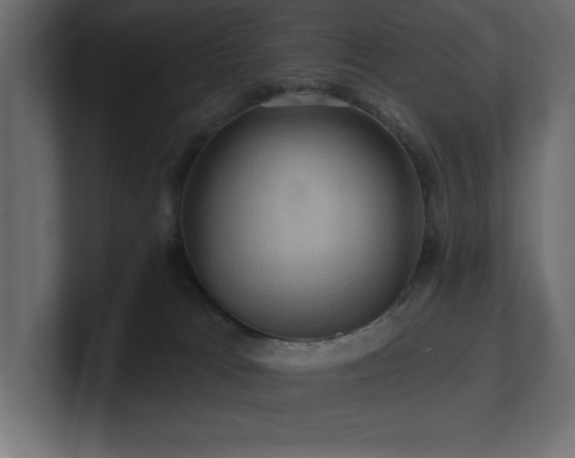 X0000100920037200806241353