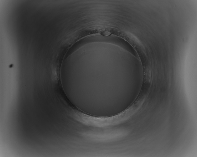 X0000100920039200806241353