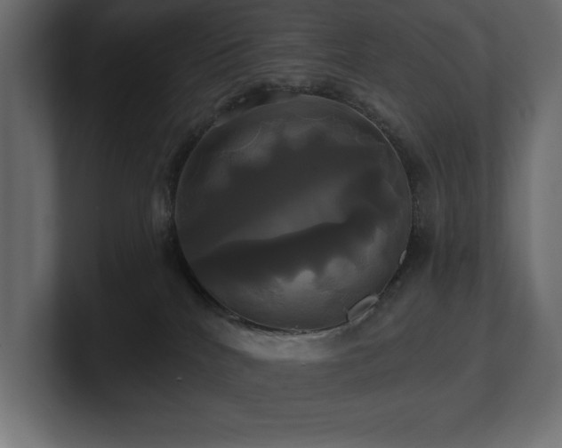 X0000100920040200806241353