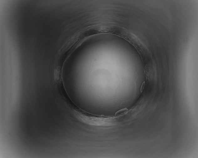 X0000100920044200806241353