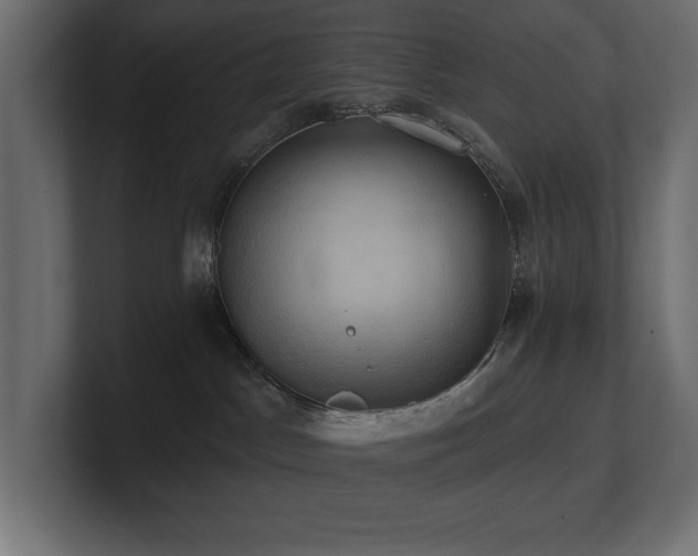 X0000100920045200806241353