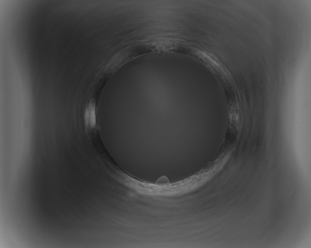 X0000100920046200806241353