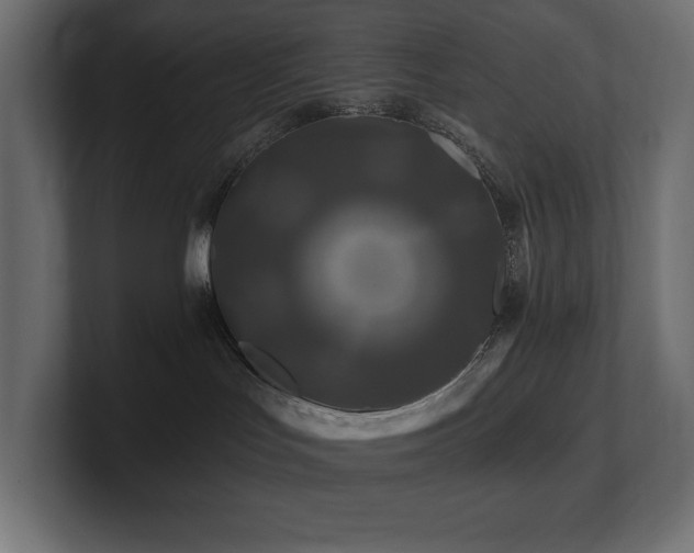 X0000100920047200806241353