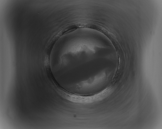 X0000100920048200806241353