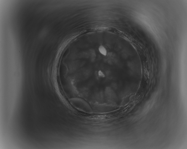 X0000100920049200806241352