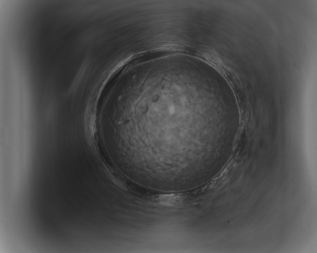 X0000100920050200806241352