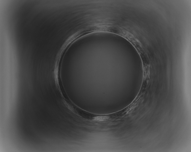 X0000100920051200806241352