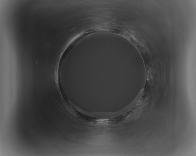 X0000100920052200806241352