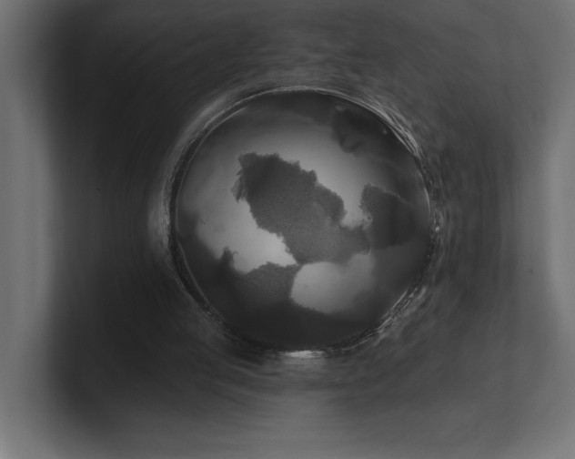 X0000100920053200806241352