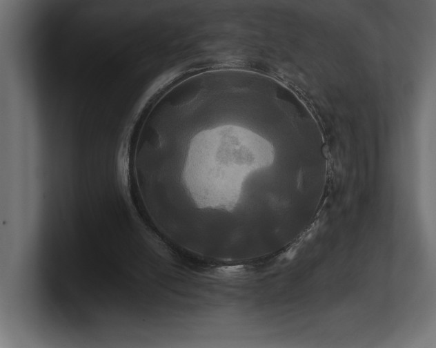 X0000100920054200806241352