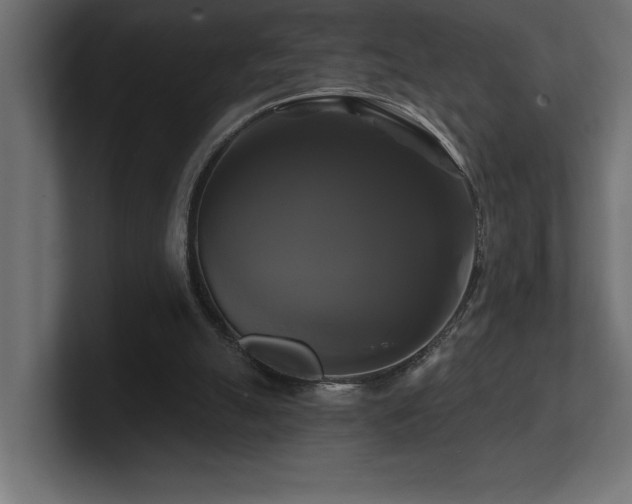 X0000100920055200806241352