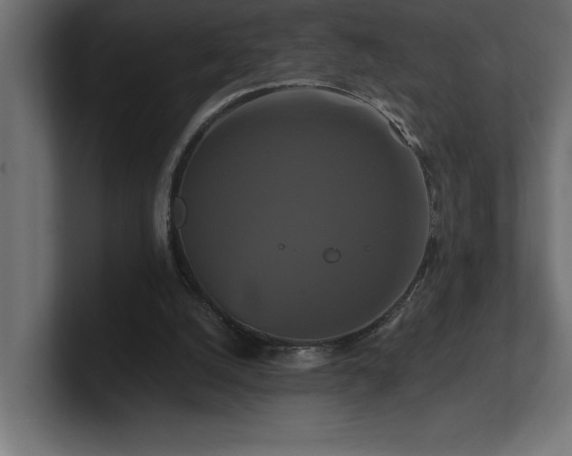 X0000100920056200806241352