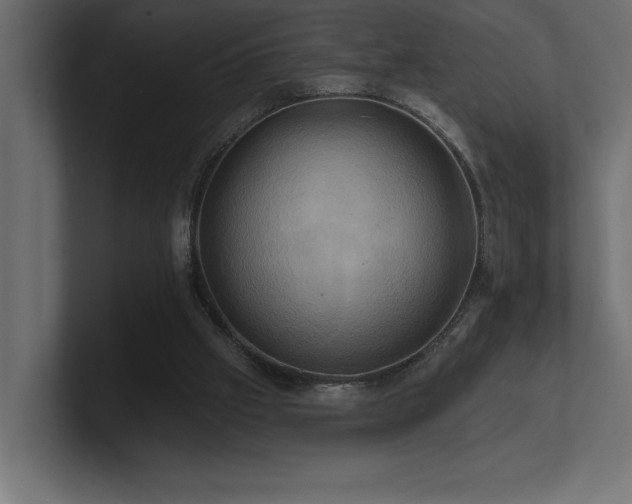 X0000100920057200806241352