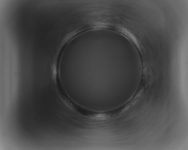 X0000100920059200806241353