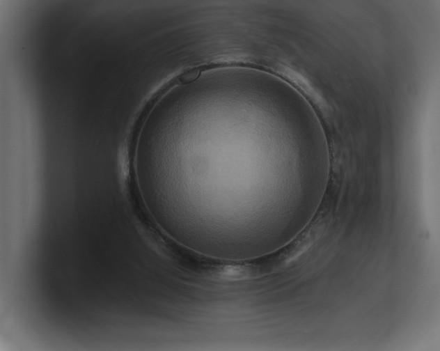 X0000100920060200806241353