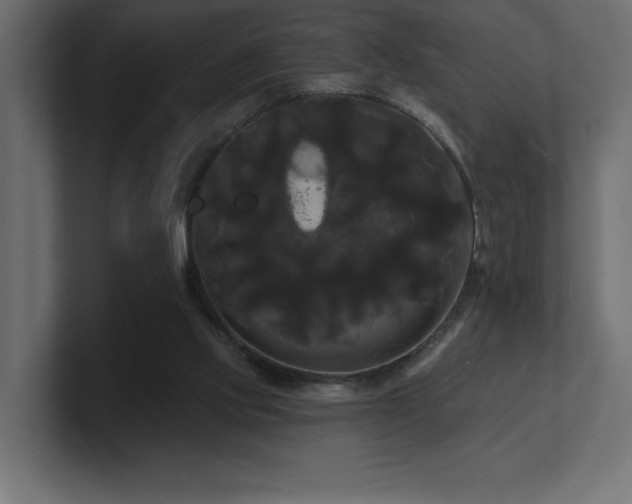 X0000100920061200806241353