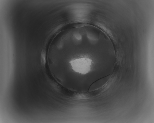 X0000100920062200806241353