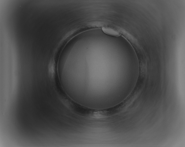 X0000100920064200806241353