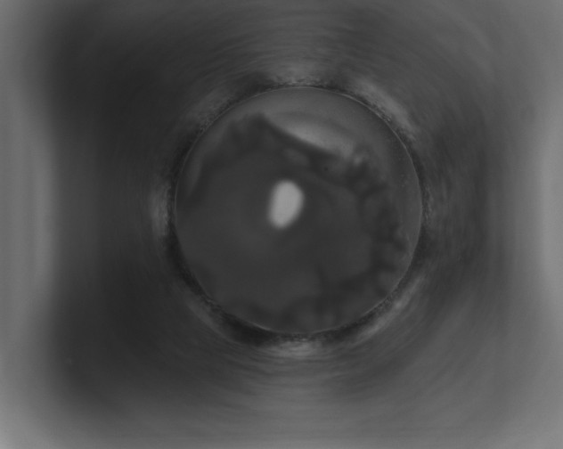 X0000100920065200806241353