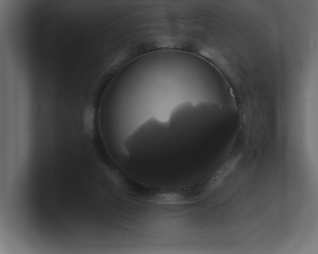 X0000100920066200806241353