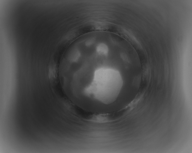 X0000100920078200806241353