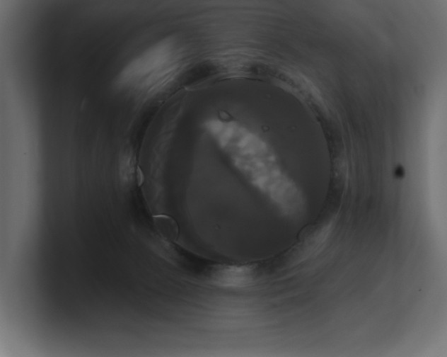 X0000100920081200806241353