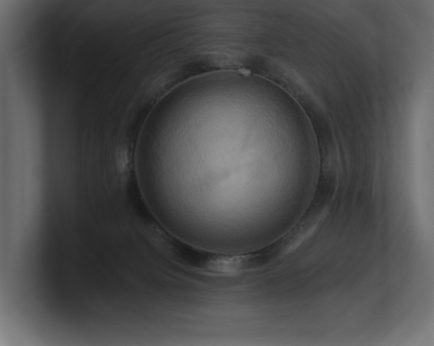 X0000100920084200806241353