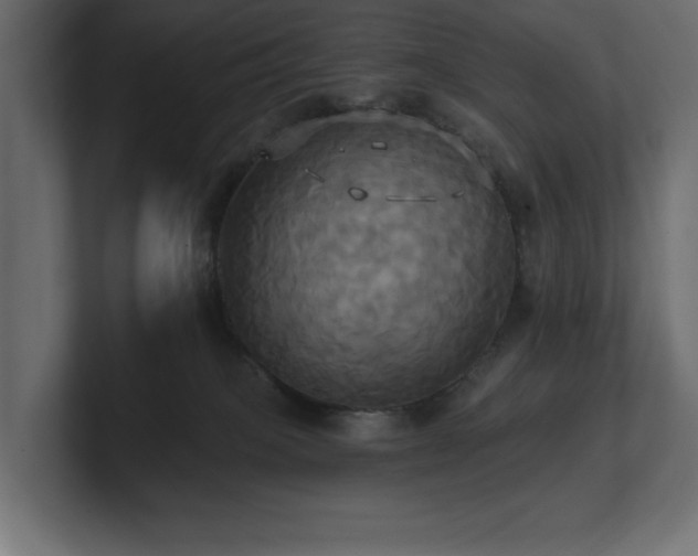 X0000100920085200806241353