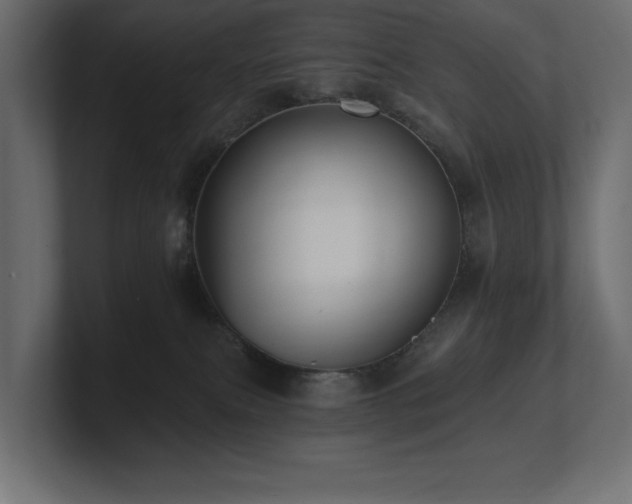 X0000100920087200806241353