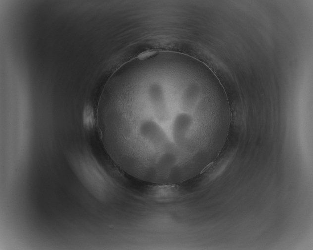 X0000100920089200806241353